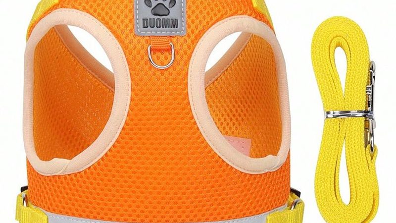风冷冷水机组：技术标准解析与选型要点