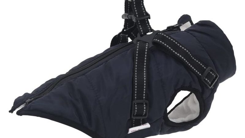小型保鲜冷库安装价格揭秘：关键因素与合理预算**